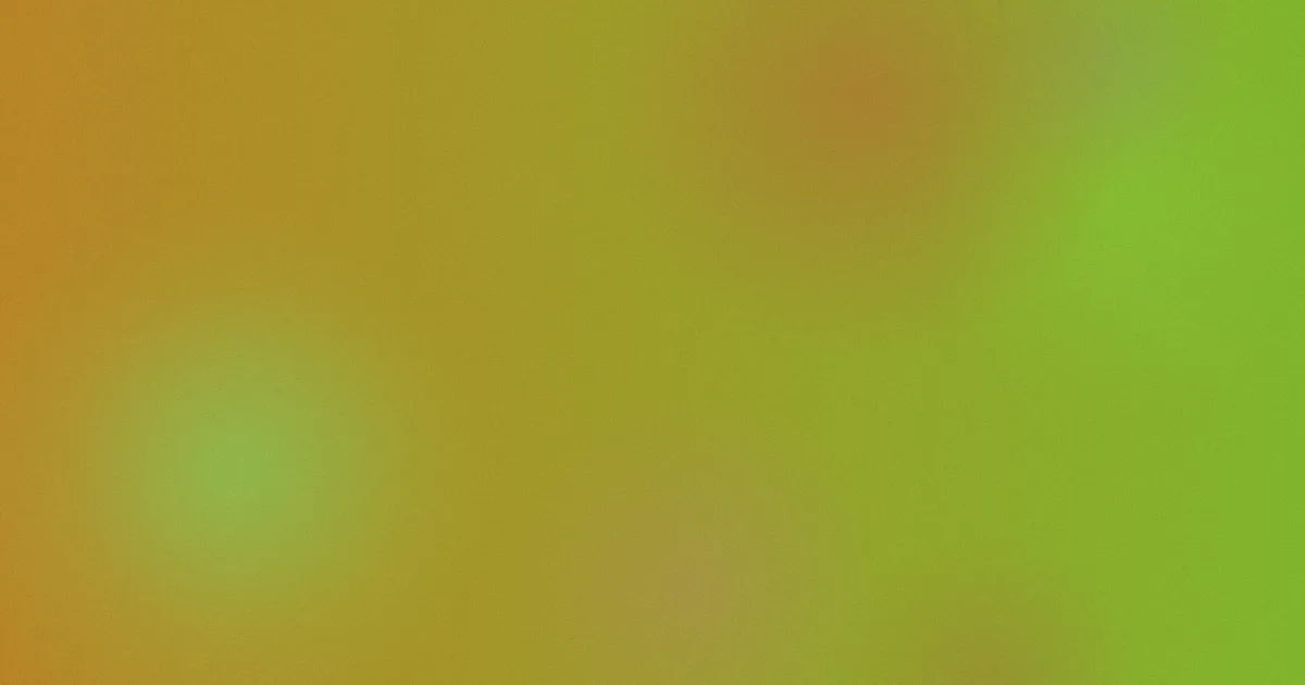 黄色污污污测评：厨房避坑